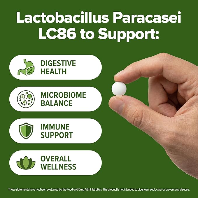 Lactobacillus Paracasei Probiotic 240 Tablets (4 Month Supply) - Researched Strain - 3 Billion CFU - Digestive Health & Wellness Support - GMP Certified (240, Lactobacillus Paracasei)