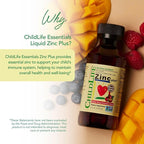 CHILDLIFE ESSENTIALS Liquid Zinc Plus for Kids & Toddler - Liquid Supplement Drops, Zinc Gluconate & Copper for Immune Support - Mango Strawberry, 4 Fl Oz (Pack of 1)