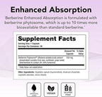 Theralogix Berberine Enhanced Absorption - 30-Day Supply - Made with Berberine Phytosome to Help Support Healthy Metabolism & Hormone Balance* - NSF Certified - 30 Capsules