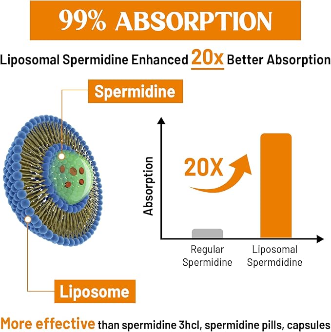 30mg Spermidine Supplement for Men & Women, High Absorption, More Potent Than Spermidine 3HCL - for Cellular Renewal, Longevity & Cognitive, Fermented Wheat Germ Extract, Pure & Natural, 120 Softgels