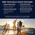 Opti + Strength & Recovery Bundle - Creatine, Triple Magnesium & rTG Omega-3 Supplement Kit | Supports Muscle Performance, Recovery & Joint Wellness* | 3-Product Active Lifestyle Pack
