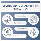 HAZEL'S Choice akkermansia probiotic – 30 Capsule Bottle – Vegan - Non-GMO - No Refrigeration Needed - No Preservatives – probiotico akkermansia – Gut-Friendly Daily Routine