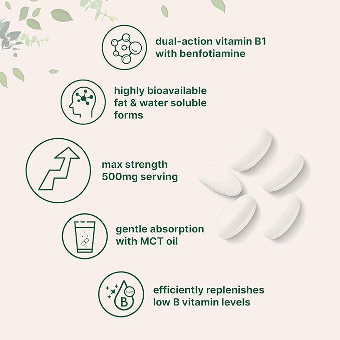 Micro Ingredients Vitamin B1 Thiamine 500mg with Benfotiamine & MCT Oil, 240 Softgels | Highly Bioavailable Thiamine Supplement for Energy & Nervous System Support* | Non-GMO, Soy Free