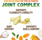 Glucosamine Chondroitin MSM - Joint Support Supplement for Joint Mobility, Comfort and Cartilage Support For Men and Women - Glucosamine Complex Supplements with Turmeric & Boswellia - 240 Capsules