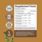 Bundle of Nootropic Memory Supplement with Vitamin B 12 Bacopa Monnieri Rhodiola Rosea DMAE Ginkgo Biloba and Advanced Lion's Mane Mushroom Supplement - Reishi Chaga Maitake Shiitake for Brain Support