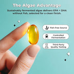 Future Kind Omega-3 Supplement for Clarity, Memory, and Mobility Comfort, 2 Months Supply of Citrus-Scented Softgels with EPA and DHA, Vegan Omega-3 Supplement from Algae, Carrageenan Free, 60 Count