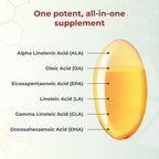 Youngevity Ultimate EFA Plus – Essential Fatty Acids, 90 Soft Gels – Balanced Fish Oil Formula for a Healthy Lifestyle – Omega-3, Omega-6, Omega-9 Supplement for Optimal Health Support