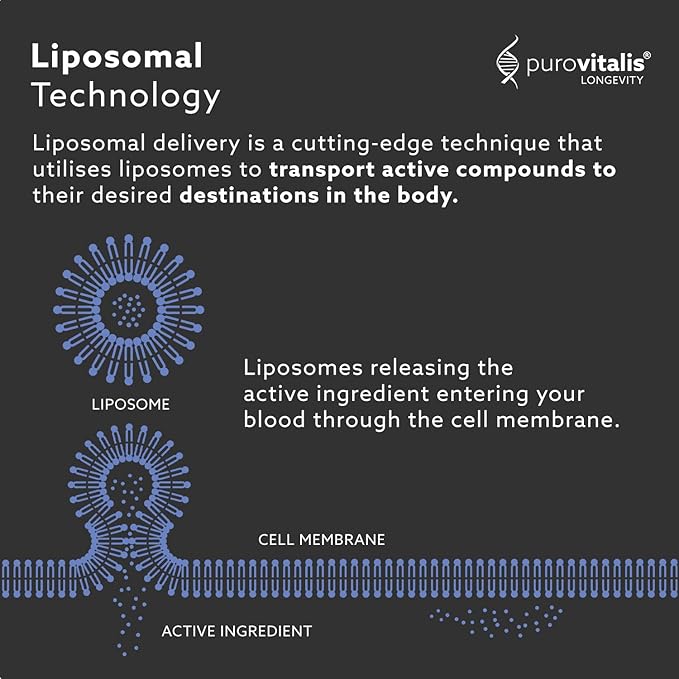 PUROVITALIS Liposomal Spermidine 5mg, Cell Renewal, 30 Servings (30 Vegan Capsules), with Zinc, Vitamin D3 & B12, Anti-ageing Supplement