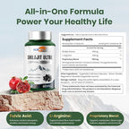Shilajit for Men Women, Shilajit with Naturally Fulvic Acid & L-Arginine, Himalayan Shilajits for Extra Power, Stamina & Immune Support, Non-GMO, Made in USA, 2 Pack, 60 Capsules Per Bottle