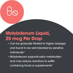Allergy Research Group Liquid Molybdenum Supplement - Sulfur Metabolism Support, Detox, Uric Acid, Trace Minerals, 25mcg Liquid Drops - 1 Fl Oz