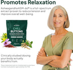 Organics Ocean Chill Buttons – Natural Ashwagandha Gummy Supplement with Organic KSM-66, Saffron & Rhodiola Rosea – Supports Relaxation, Mood, Focus & Energy - 6-Pack, 360 Count