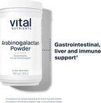 Vital Nutrients Arabinogalactan Powder - Vegan Prebiotic Fiber Supplement for GI Health, Liver, and Immune Support* - Gluten, Dairy, Soy Free - Non-GMO - 300g