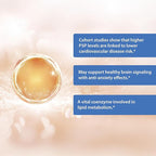 Naturalis Liposomal P-5-P 50mg Activated Vitamin B6 Nano-Emulsified in MCT Oil for Better Absorption | Non-GMO and Soy Free | Support Energy Metabolism and Neurological Function | 90 Softgels