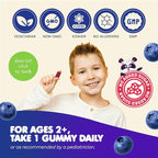 DR. MORITZ Sugar-Free Calm Magnesium Gummies for Kids and Adults - Non-GMO Magnesium Citrate Gummies - Blueberry Flavor - 1-Pack (60 Count)