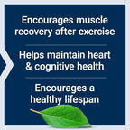 Life Extension Bio-Fisetin 30 Capsules Cellular Health Bundle with Taurine 1000mg 90 Capsules Heart Health