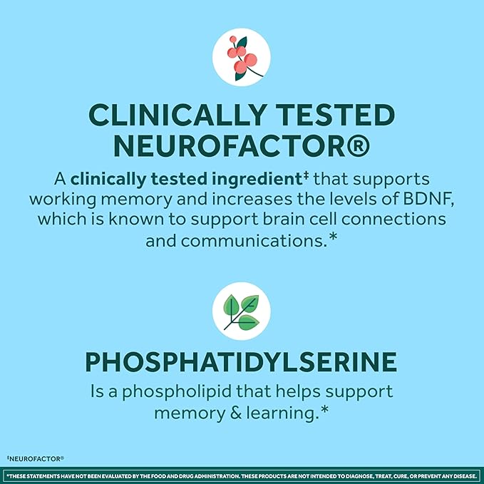 NEURIVA Plus Decaffeinated Nootropic Brain Supplement for Memory, Focus & Concentration & Cognitive Function, Clinically Tested NeuroFactor, Phosphatidylserine, Vitamins B6 B12,50ct Strawberry Gummies