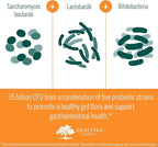 Genestra Brands - HMF Travel - Shelf Stable Probiotics to Support Gastrointestinal Health When Travelling - 30 Capsules