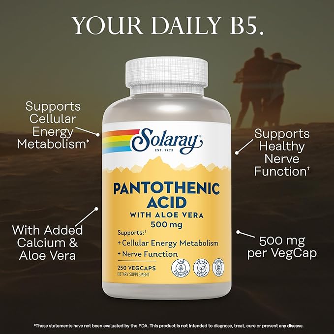 SOLARAY Pantothenic Acid 500mg - Pantothenic Acid Supplement (Vitamin B5) - Essential B Complex Vitamin - Nervous System and Cellular Energy Support - Vegan, Gluten Free, 60-Day Guaratee, 250 Servings