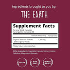 Organic Beet Root Capsules [1,300mg Superfood] – Blood Pressure Support, Nitric Oxide Supplements for Men & Women, Flow & Circulation | Beetroot Powder, Antioxidant, Brain Food | Vegan, 60 Ct