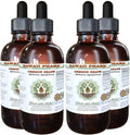 Hawaii Pharm Oregon Grape Alcohol-Free Liquid Extract, Oregon Grape (Mahonia aquifolium) Dried Root Glycerite Natural Herbal Supplement, USA 4x4 fl.oz