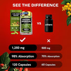 Dihydroberberine Supplement - Dehydro Berberine Organic - Super Berberine Supplement with Ceylon Cinnamon & R Alpha Lipoic Acid & Apigenin - Hydroberberine 480 caps (4 Packs)