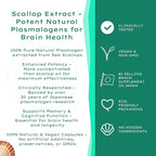 MemoryUP! Sea Scallop-Derived Plasmalogen Supplement for Brain & Cognitive Support, Memory, Focus and Antioxidant Neuro-Support, Ideal for Seniors, Adult Men & Women, 60 Count