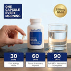 NMN Supplement 500mg - Delayed Release NAD+ for Longevity & Energy - Pure Nicotinamide Mononucleotide for Cellular Repair - High Absorption NMNH Alternative - 60 Day Supply
