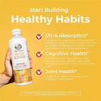 MARYRUTH'S Organics | Liposomal Turmeric & DHA | Curcumin | Ginger Root Oil | Algal DHA & Vitamin E | Cognitive Function | Mood Support | Joint Health | Liquid Supplement | 15.22 oz