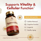 STONERA Spermidine Supplement, Cellular Renewal & Longevity Support - Optimized High Purity, 10mg per Serving, 120 Capsules Third-Party Tested