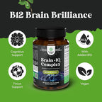 Nootropic Memory Supplement for Brain Support - Memory Pills for Brain Boost and Natural Energy Booster - Vit B12 Bacopa Monnieri Rhodiola Rosea DMAE Ginkgo Biloba Phosphatidylserine Supplement 3 pack
