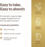 Solgar Vitamin B12 1000 mcg, 250 Nuggets - Supports Production of Energy, Red Blood Cells - Healthy Nervous System - Promotes Cardiovascular Health - Vitamin B - Non-GMO, Gluten Free - 250 Servings