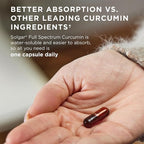 Solgar Full Spectrum Curcumin - 60 LiCaps - Superior Absorption - Brain, Joint & Immune Health - Non-GMO, Vegan, Gluten Free, Dairy Free - 60 Servings