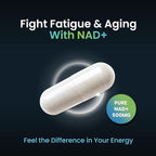 NAD+ Supplement - 500mg of Pure NAD Plus for Energy, Focus, Skin & Anti-Aging Support - Gluten Free Non-GMO NAD Supplements for Women & Men (60 Count, NAD +)