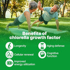 Chlorella Growth Factor CGF Capsules, 350mg, 30 Count, Non-GMO Vegan Supplement for Immunity & Cognitive Health Natural Spermidine Superfood