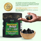 Wellness Nest Gold Grade Pure Himalayan Shilajit Resin: Ultimate Potency for Men & Women - 24k Gold, 75%+ Fulvic Acid, Lab Test Report Included - 30g (1 Pack), 75 Servings