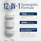 NMN Supplement Liposomal Neuro NMN with Resveratrol, TMG, Quercetin, CoQ10, Rhodiola, NAC, Astaxanthin & Magnesium NAD+ Precursor Supports Brain Cellular Energy & NAD+ Levels | 60 Delayed Release Caps