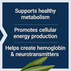 Life Extension Pantothenic Acid, 500 mg, Vitamin B5, Calcium, Support Healthy Metabolism, Mitochondrial Energy Production, Gluten-Free, Non-GMO, Vegetarian, 100 Capsules