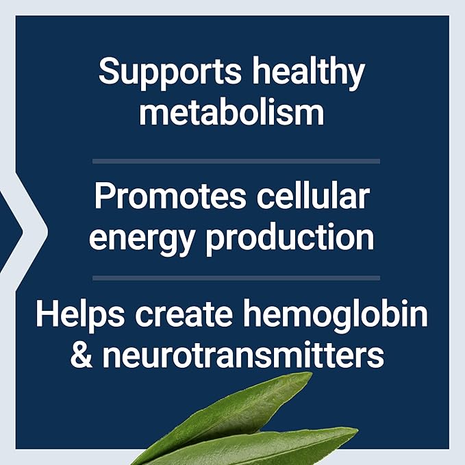 Life Extension Pantothenic Acid, 500 mg, Vitamin B5, Calcium, Support Healthy Metabolism, Mitochondrial Energy Production, Gluten-Free, Non-GMO, Vegetarian, 100 Capsules
