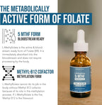L Methyl Folate 15mg Plus Methyl B12 Cofactor – Organic Berry Flavor, High Potency Liquid Sublingual Active 5-MTHF Form - Supports Mood, Methylation, Cognition – Bioactive Forms Vitamin B9 & B12 (1oz)