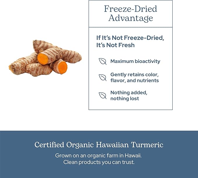 Eclectic Herb - Organic Turmeric Capsules | Musculoskeletal System & Joint Health Support | Herbal Supplement | Vegan, Non-GMO, Gluten Free, Freeze-Dried (90 CT | 395 mg)