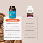 FreshCap Mushrooms Turkey Tail Mushroom Supplement 10,000mg – Organic, Turkey Tail Extract for Immune Support Supplement, Mushroom Supplement Capsules, Ayurveda Immunity Supplement (120 Capsules)