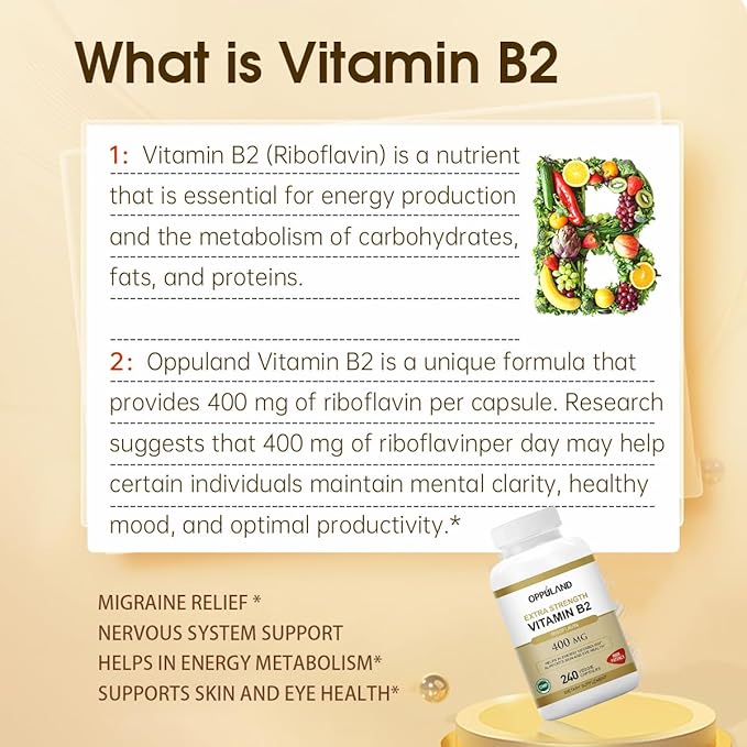 Riboflavin Vitamin B2 Supplement - B-2 Vitamin - Boosts Energy Metabolism & Cellular Function - Daily Nutritional Supplements for Men & Women - 400 mg Capsules - 240 Count