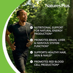 NaturesPlus Pantothenic Acid, Sustained Release - 1000 mg, 60 Tablets - High-Potency Vitamin B5 Supplement - Vegetarian, Gluten Free - 60 Servings
