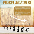 Spermidine Wheat Germ Extract Capsules - 13mg Spermidine Supplements 1300mg Potent Formula with Higher Spermidine Content and Zinc for Healthy Aging, Daily Immune System and Cell Renewal,4 Pack