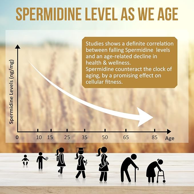 Spermidine Wheat Germ Extract Capsules - 13mg Spermidine Supplements 1300mg Potent Formula with Higher Spermidine Content and Zinc for Healthy Aging, Daily Immune System and Cell Renewal,4 Pack