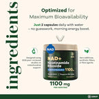 NAD+ Supplement | 1100mg Liposomal Nicotinamide Riboside with Resveratrol & Quercetin | Anti-Aging, Cellular Energy, Mental Focus | 120 Caps