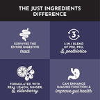 JUST INGREDIENTS Elderberry Lemonade 3-in-1 Probiotic Complex - Prebiotics, Probiotics & Postbiotics - 30 Sticks