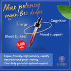 Vegan Vitamin B12 Liquid - Max Strength Methylcobalamin B12 Sublingual 5000 mcg - Fast Absorbing Supplement for Mood, Memory and Energy Support - Non-GMO, Gluten-Free, Citrus Flavor B 12 Drops, 2oz