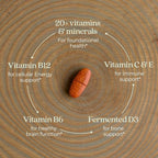 New Chapter Women’s Multivitamin 55+, Astaxanthin, B6, B12, D3, Vitamin C & Zinc, Immune, Heart, Cellular Energy, and Bone Support, Gentle on The Stomach, One Daily, Non-GMO, Gluten-Free, 48 Tablets
