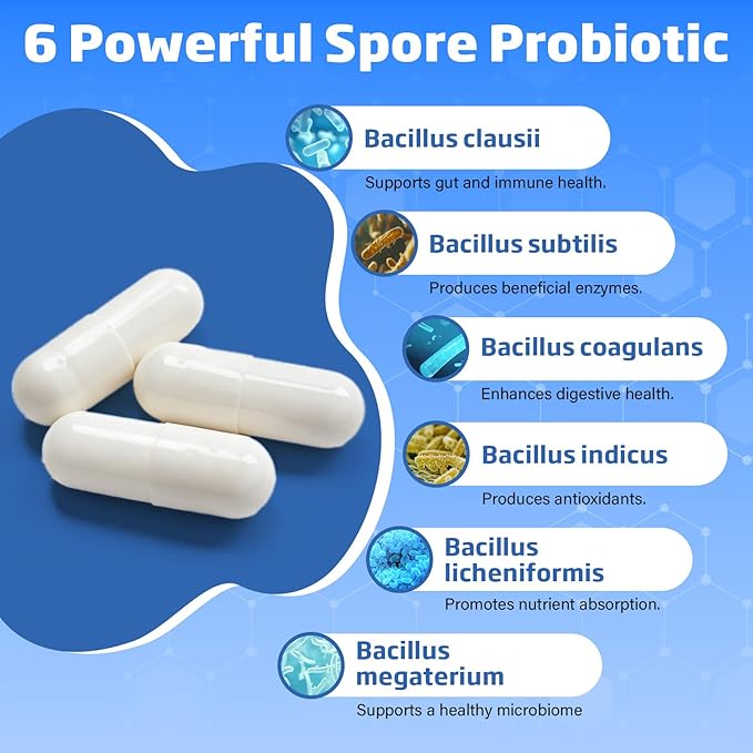 Spore Probiotic, 630 Capsules - Bacillus Subtilis Spore Based Probiotic for Women & Men, 20 Billion CFU Probiotics for Digestive Health, Daily Gut Health & Immune Support, Vegan & Shelf Stable